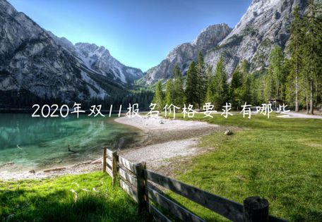 2023年雙11報(bào)名價(jià)格要求有哪些